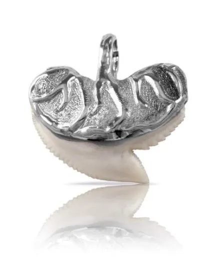 10260 SHARK TOOTH PENDANT