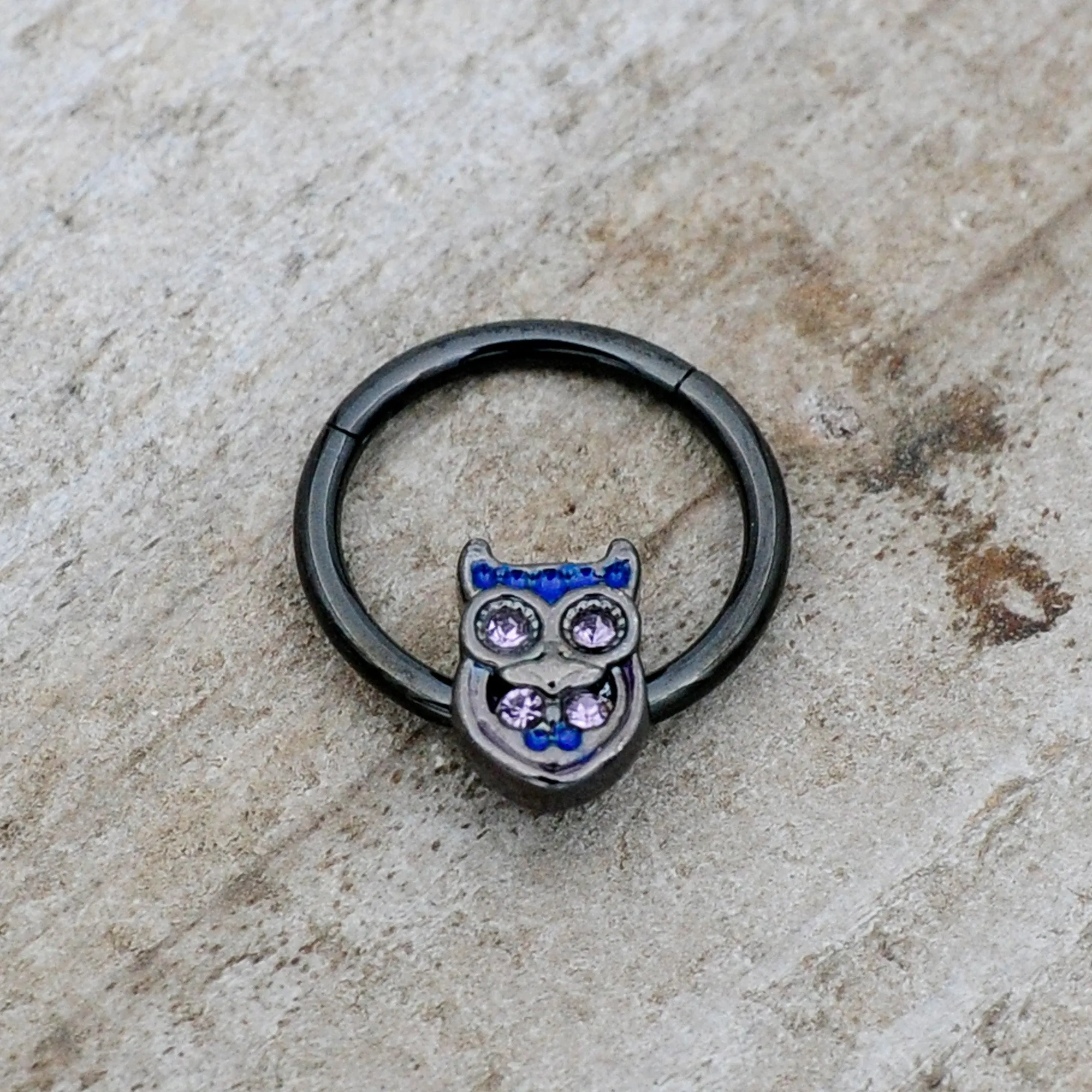 16 Gauge 3/8 Purple Gem Black Opulent Owl Hinged Segment Ring