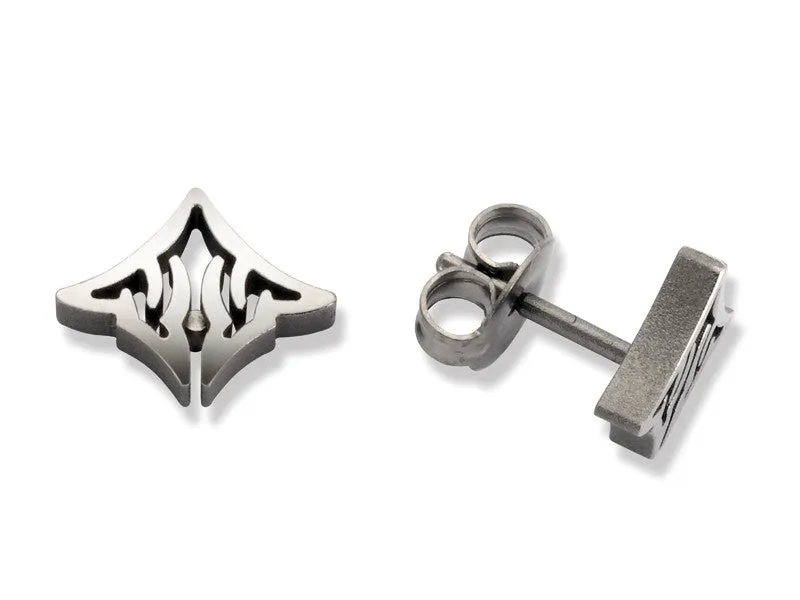 24376-01 TeNo Titanium Earrings