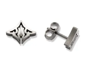 24376-01 TeNo Titanium Earrings
