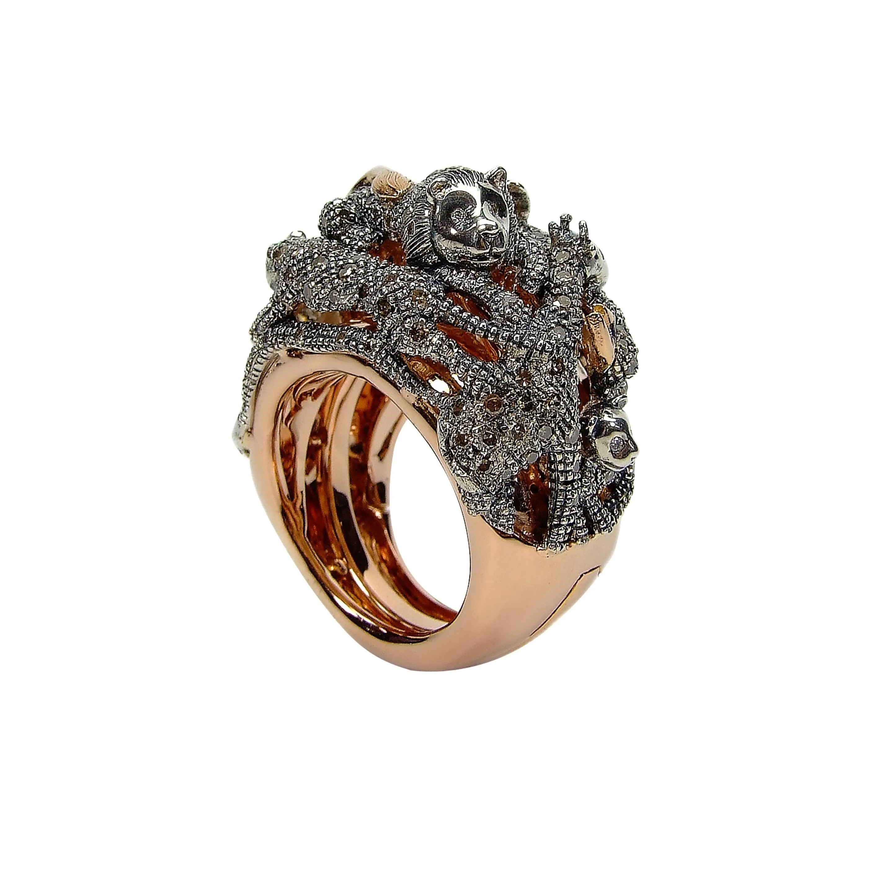 Animal Ring In A Ring