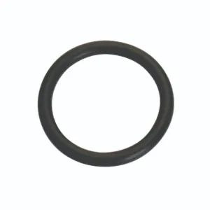 Champion 3/8in (I.D.) x 1/16in Imperial O-Ring -10pk