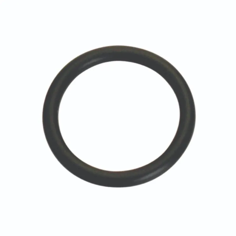 Champion 3/8in (I.D.) x 1/16in Imperial O-Ring -10pk