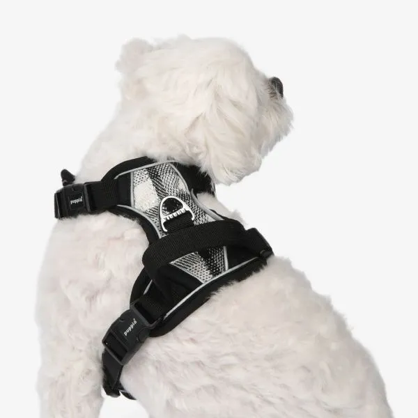 Garrett Dog Harness H