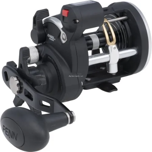 Penn | RIVAL Level Wind Line Counter Reel | 5.1:1 | LH