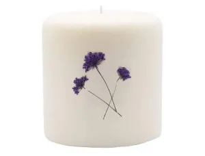 Rosy Rings Pillar Botanical Candle Size: 25'' D x 3.5'' H (Wild Plum & Cannabis)