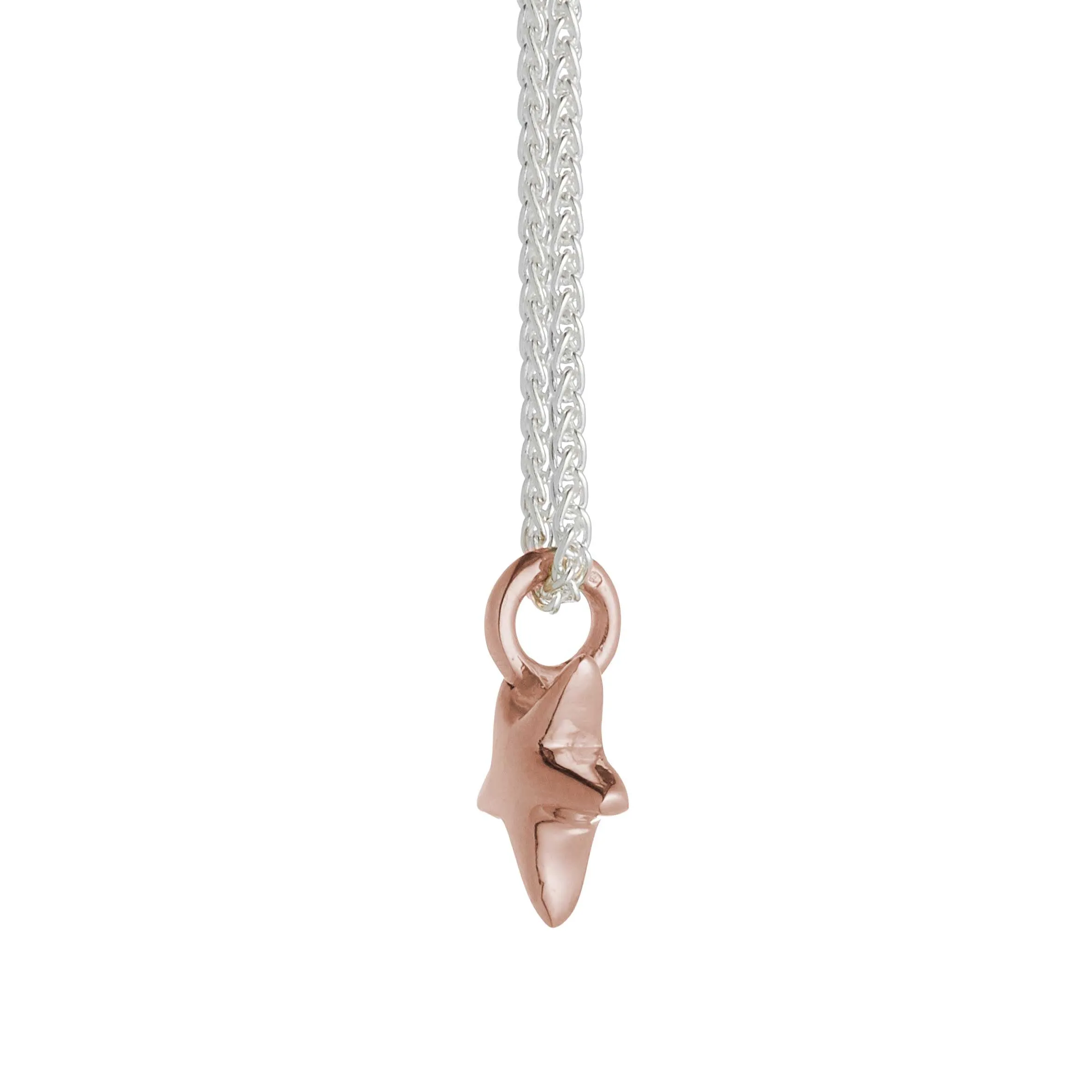 Stardust Silver or Gold Plated Necklace