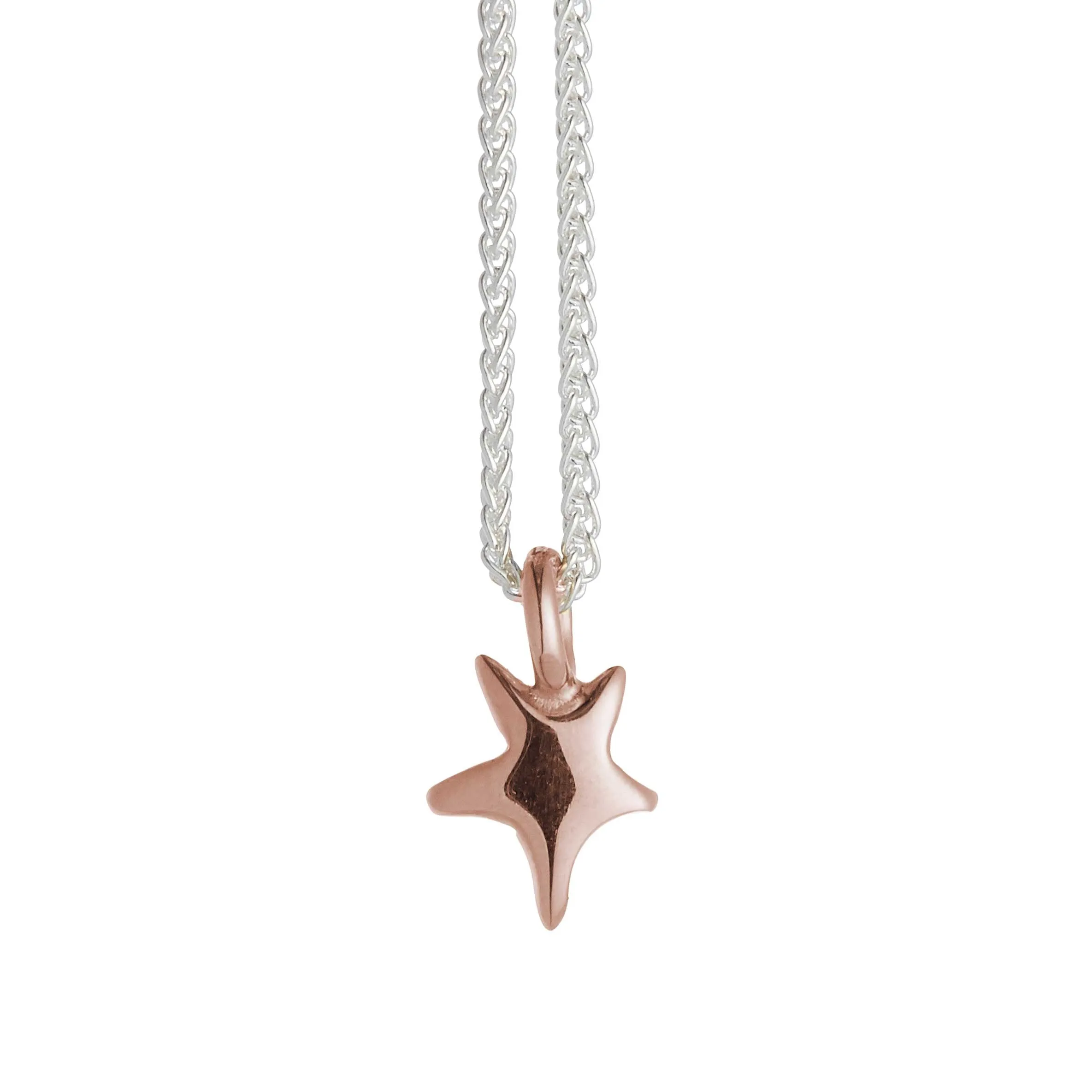 Stardust Silver or Gold Plated Necklace