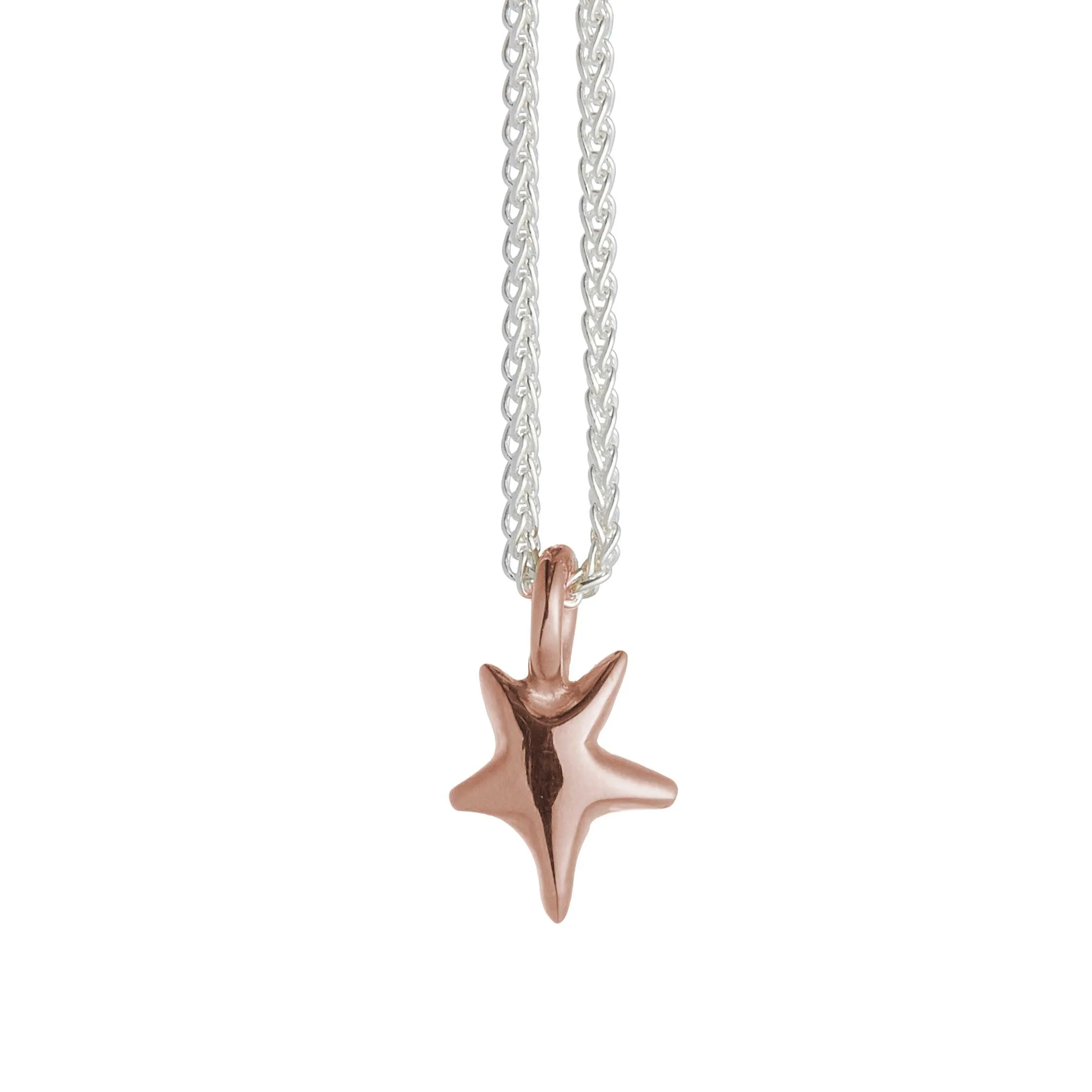 Stardust Silver or Gold Plated Necklace