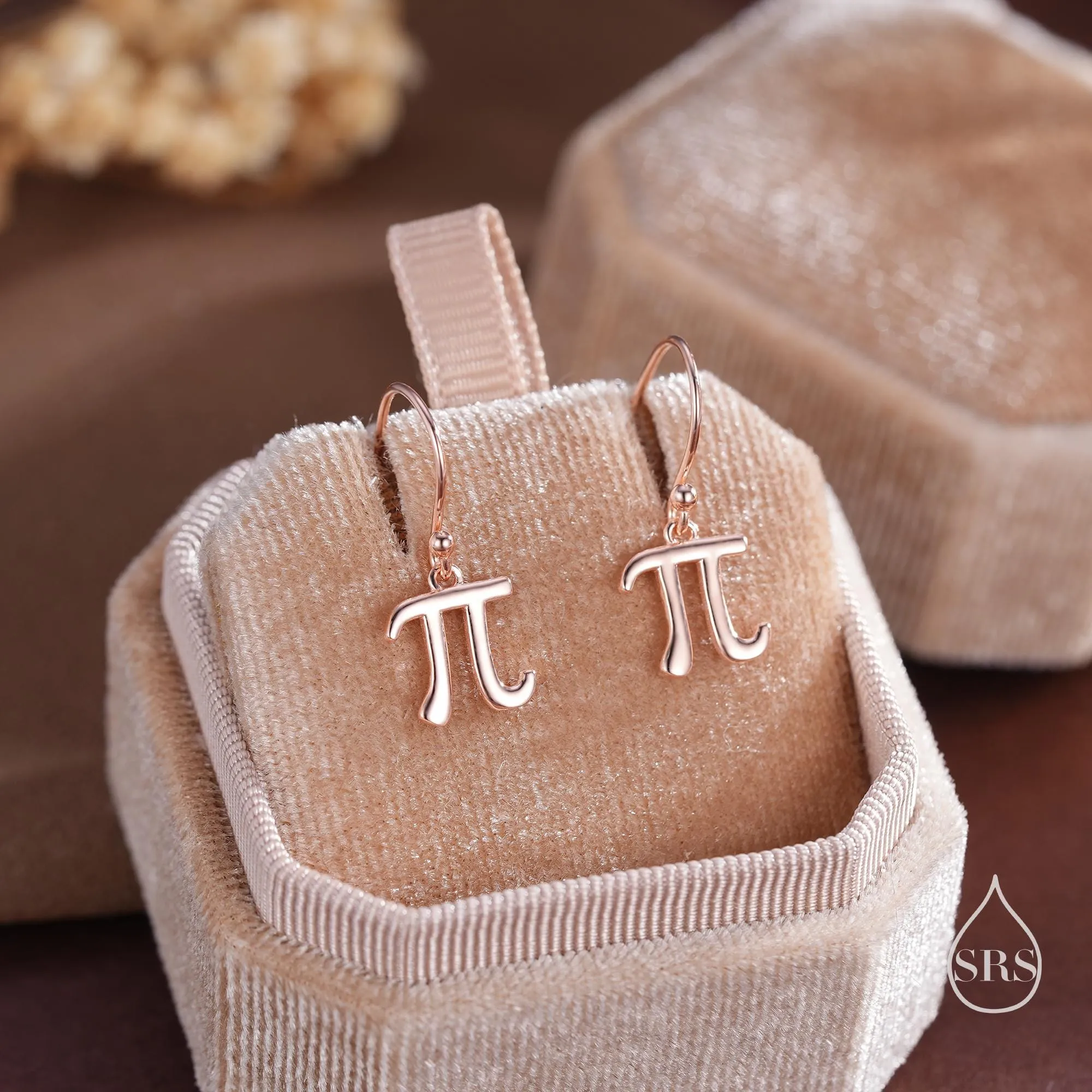 Sterling Silver Pi Drop Hook Earrings - Mathematical Earrings, Silver, Gold or Rose Gold, Math, Geeky, Fun, Whimsical, Pi Dangle Earrings
