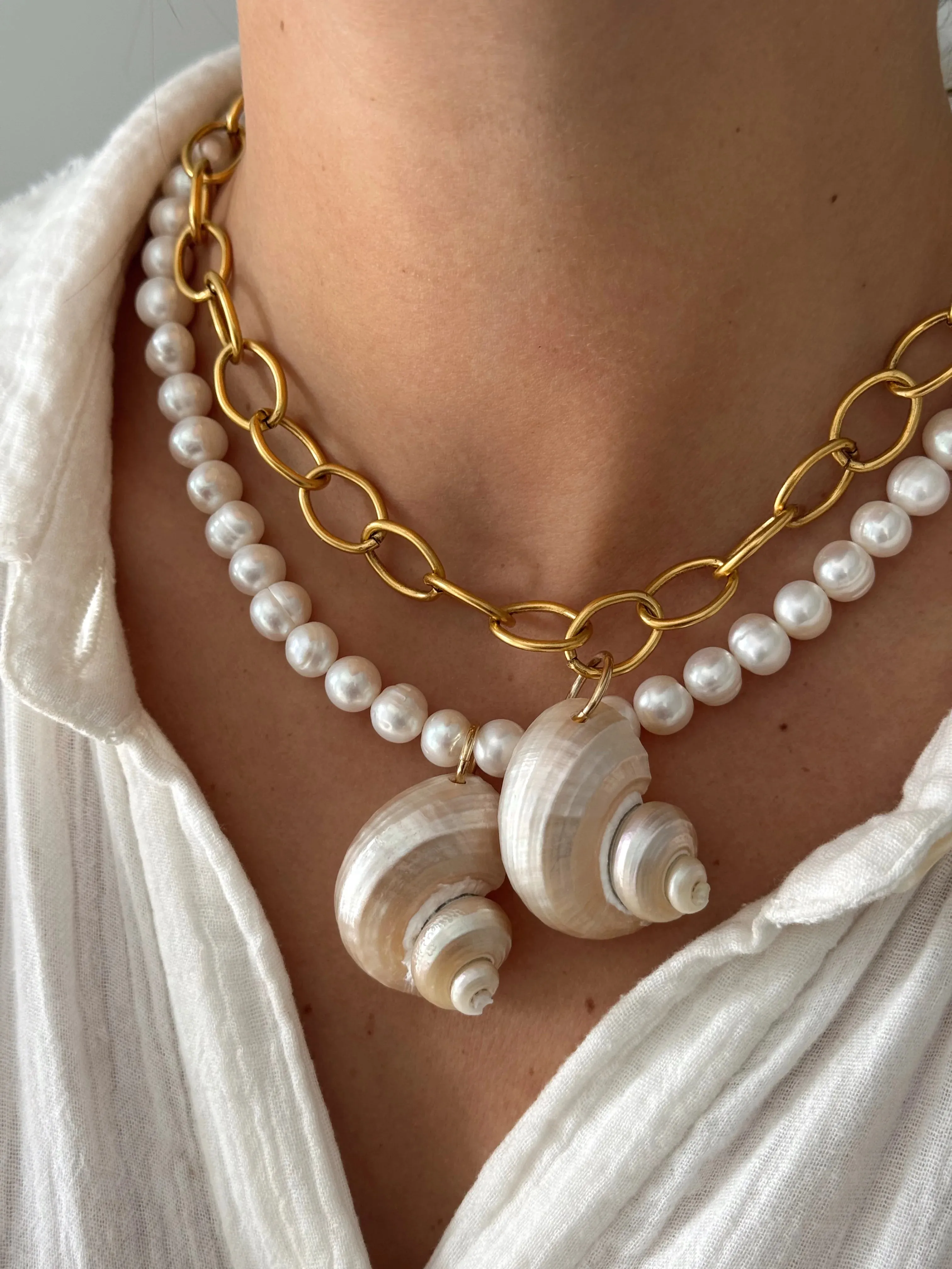 Turbo Shell Necklace