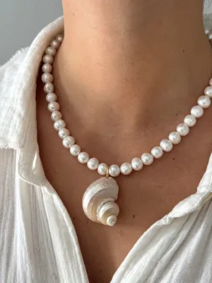 Turbo Shell Necklace